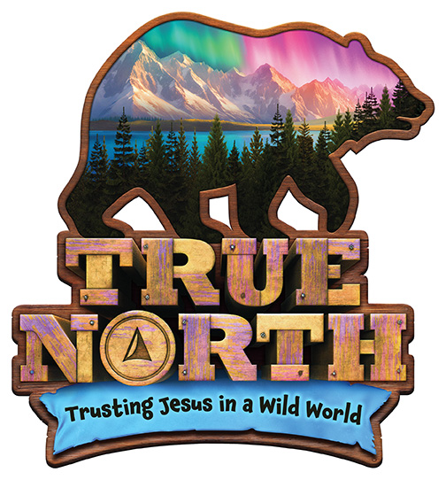 true-north-logo-LoRes-RGB.jpg